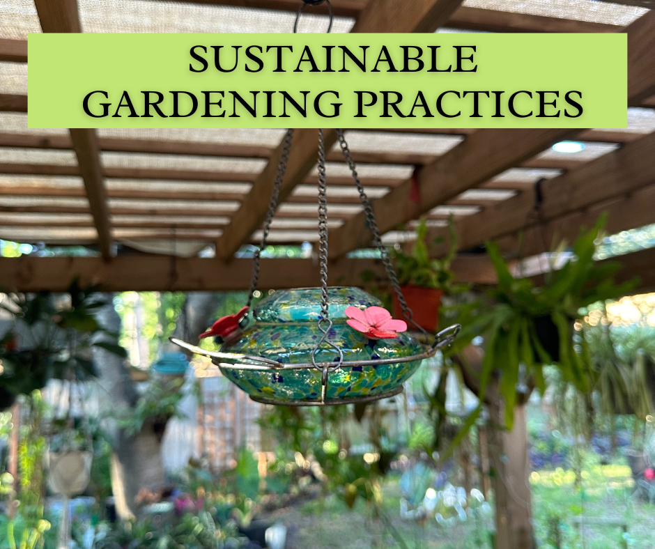 Eco-Friendly Gardening: Sustainable Practices for Your Green Space