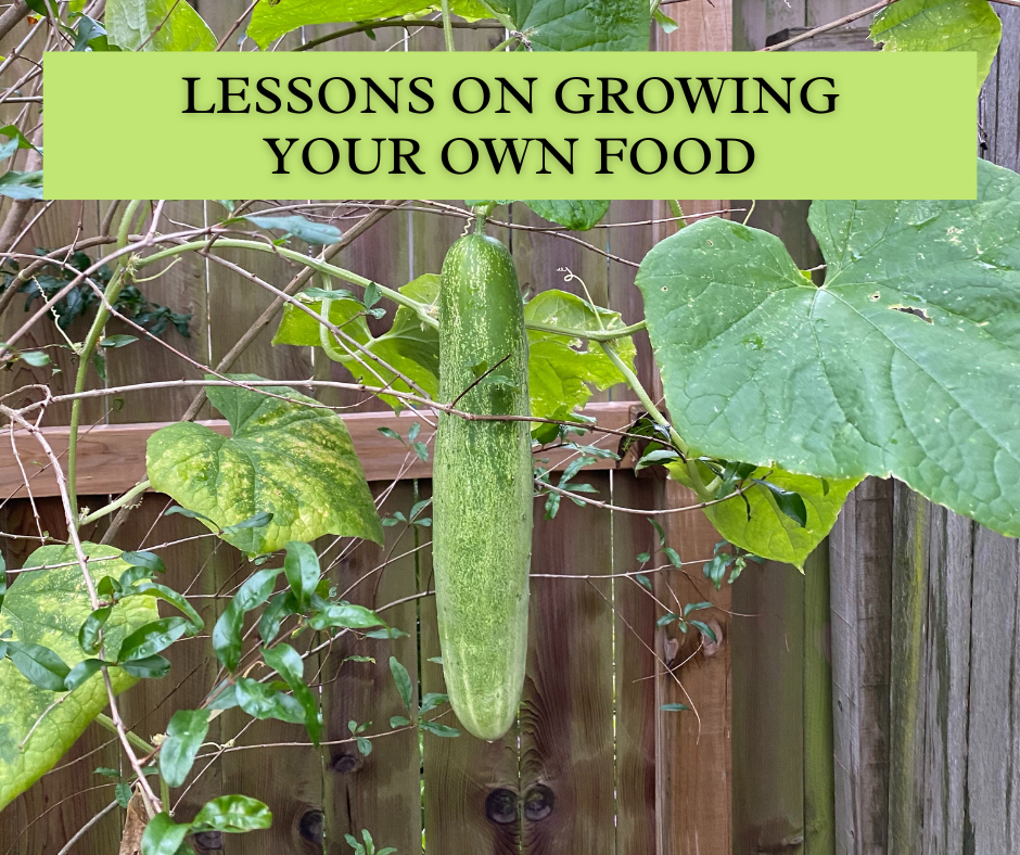 Plant-Based Diets: Growing Your Own Health Food