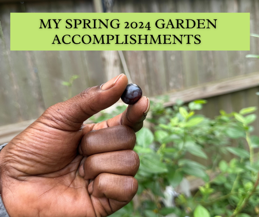 My Spring 2024 Garden Accomplishments